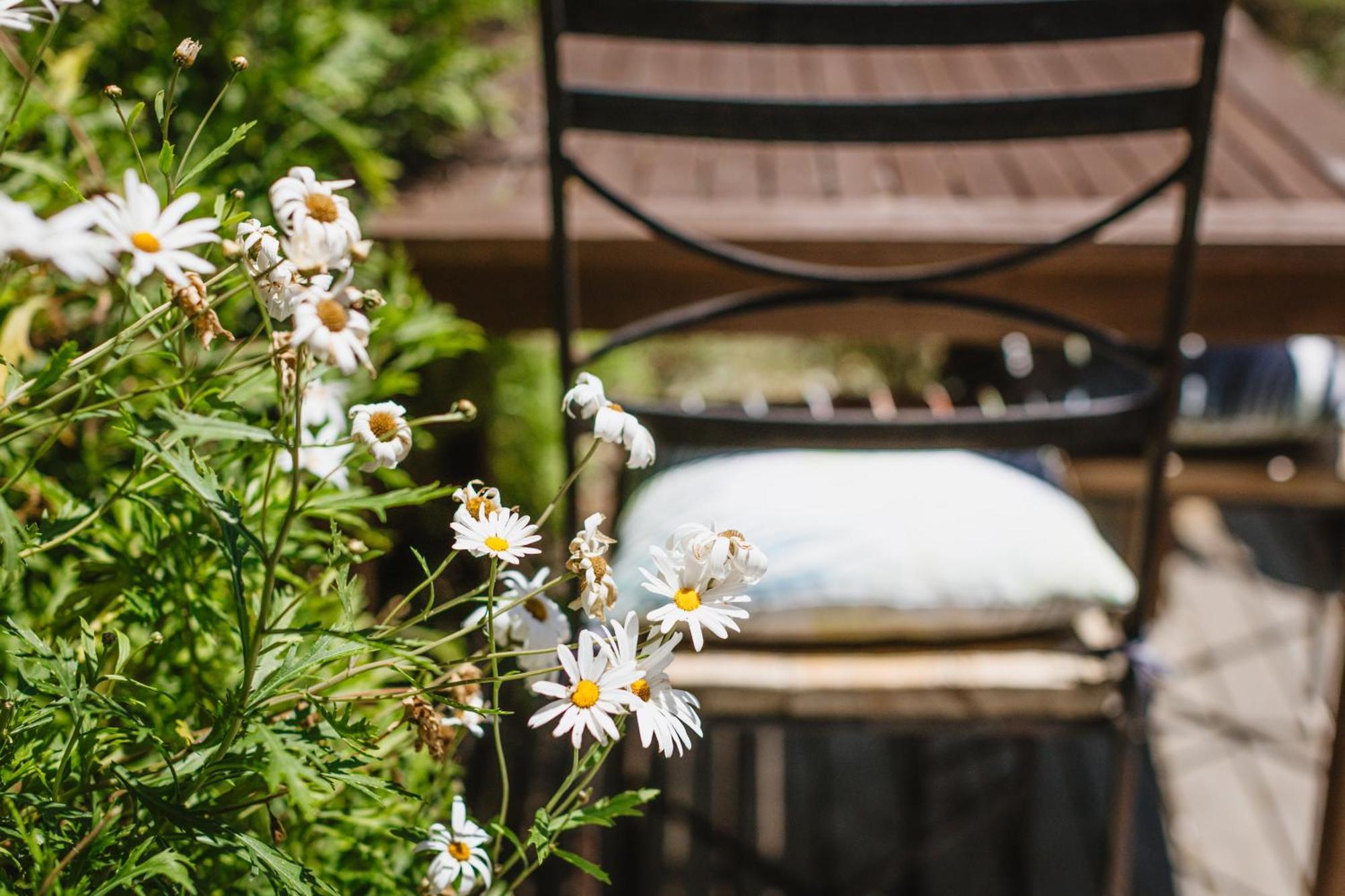 Haumoana Herb Cottage المظهر الخارجي الصورة